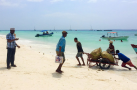 Safari v Tanzanii a pohodový pobyt s výlety na Zanzibaru