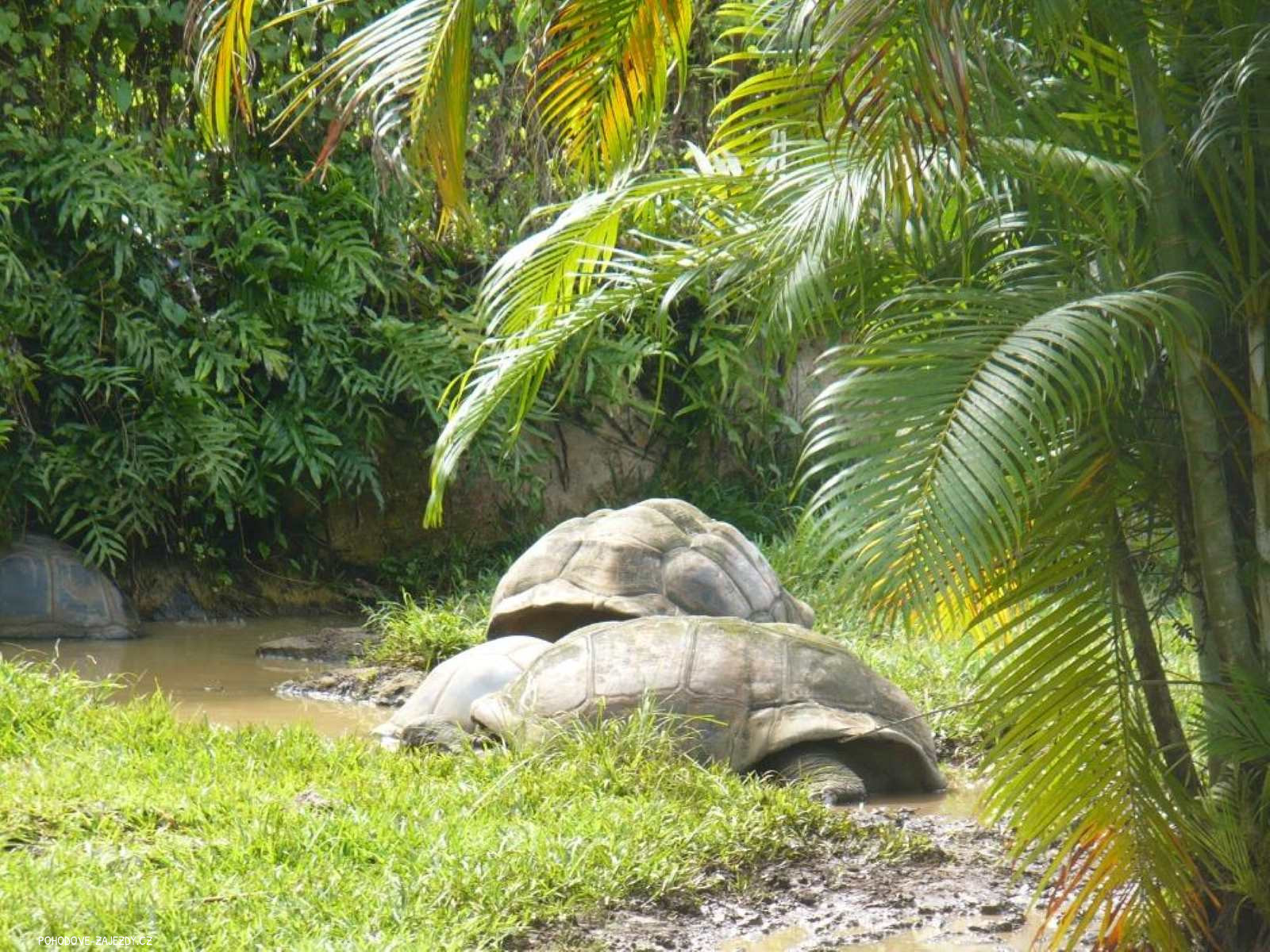 Photo of 12 denní Mauricius - perla Indického oceánu